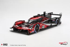 ACURA ARX-06 GTP N°40 Wayne Taylor Racing Vainqueur 12H Sebring 2024 J. Taylor - L. Deletraz - C. Herta 1/18