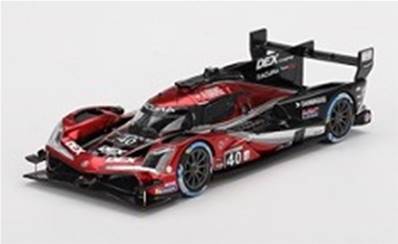 ACURA ARX-06 GTP N°40 3ème 24H Daytona 2024 Taylor - Delétraz - Herta - Button